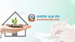 Think_Social Security Fund (SSF)